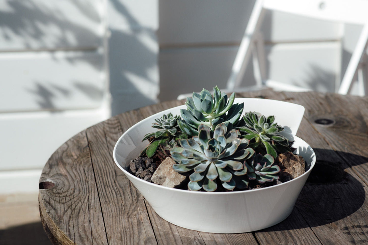 NewWave Salad Bowl 4,50l